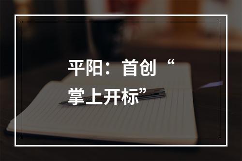 平阳：首创“掌上开标”