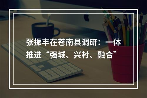 张振丰在苍南县调研：一体推进“强城、兴村、融合”