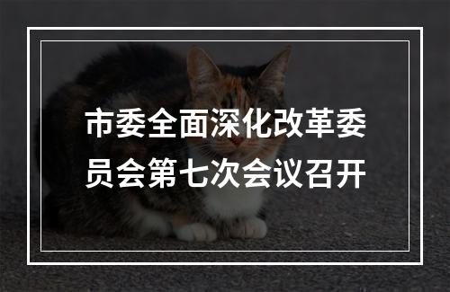 市委全面深化改革委员会第七次会议召开