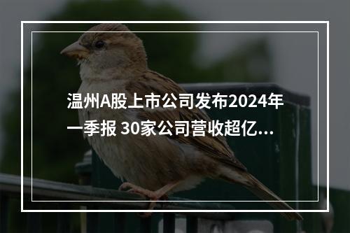 温州A股上市公司发布2024年一季报 30家公司营收超亿元