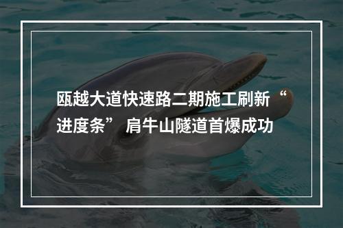 瓯越大道快速路二期施工刷新“进度条” 肩牛山隧道首爆成功