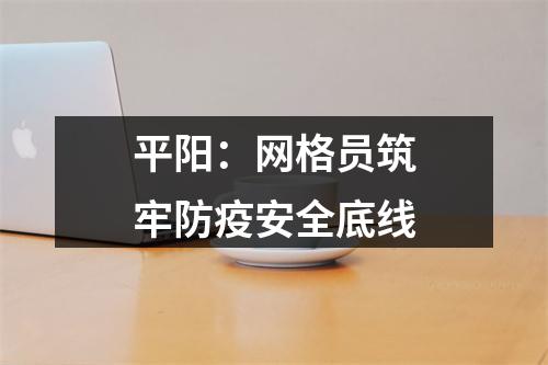 平阳：网格员筑牢防疫安全底线