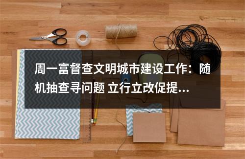周一富督查文明城市建设工作：随机抽查寻问题 立行立改促提升