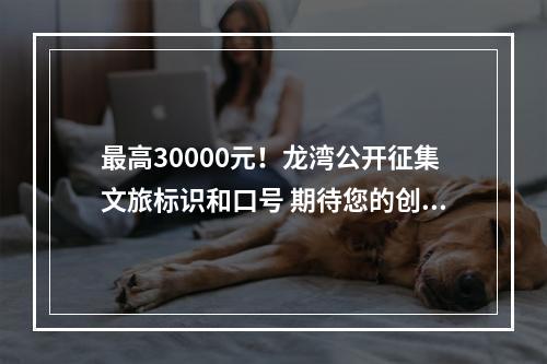 最高30000元！龙湾公开征集文旅标识和口号 期待您的创意!
