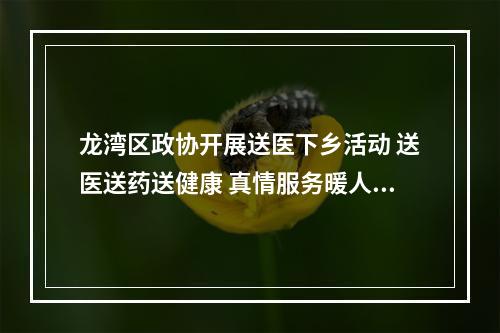龙湾区政协开展送医下乡活动 送医送药送健康 真情服务暖人心