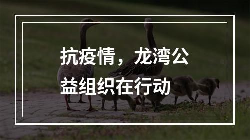抗疫情，龙湾公益组织在行动