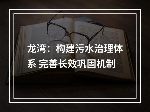 龙湾：构建污水治理体系 完善长效巩固机制