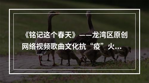 《铭记这个春天》——龙湾区原创网络视频歌曲文化抗“疫”火起来