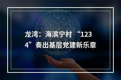 龙湾：海滨宁村 “1234”奏出基层党建新乐章