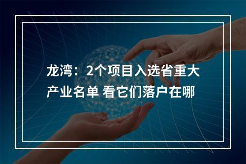 龙湾：2个项目入选省重大产业名单 看它们落户在哪