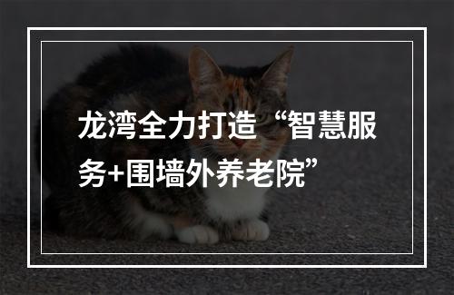 龙湾全力打造“智慧服务+围墙外养老院”