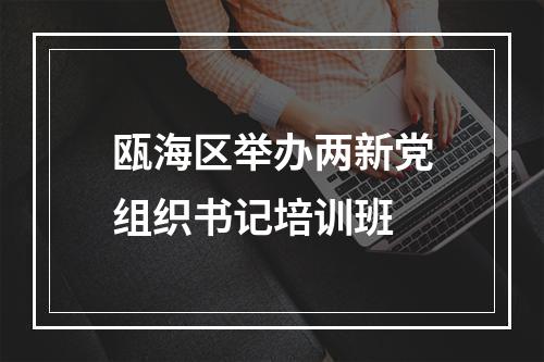 瓯海区举办两新党组织书记培训班