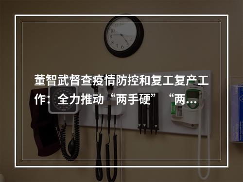 董智武督查疫情防控和复工复产工作：全力推动“两手硬”“两战赢”