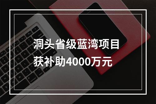 洞头省级蓝湾项目 获补助4000万元