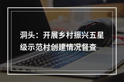 洞头：开展乡村振兴五星级示范村创建情况督查