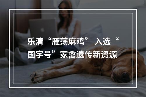 乐清“雁荡麻鸡” 入选“国字号”家禽遗传新资源
