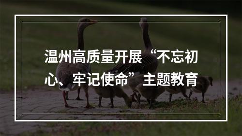 温州高质量开展“不忘初心、牢记使命”主题教育