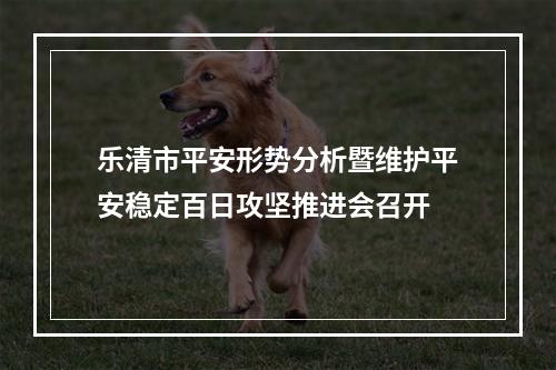 乐清市平安形势分析暨维护平安稳定百日攻坚推进会召开