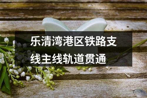 乐清湾港区铁路支线主线轨道贯通