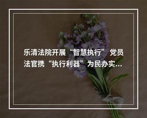 乐清法院开展“智慧执行” 党员法官携“执行利器”为民办实事