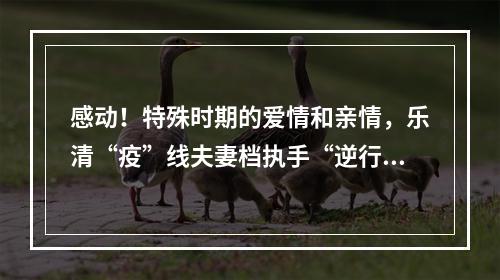 感动！特殊时期的爱情和亲情，乐清“疫”线夫妻档执手“逆行”