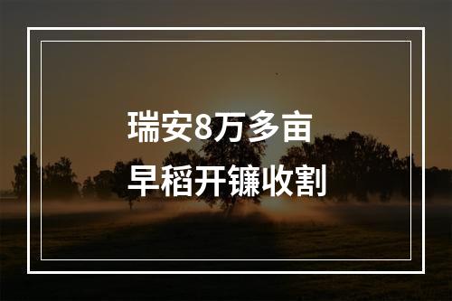 瑞安8万多亩早稻开镰收割