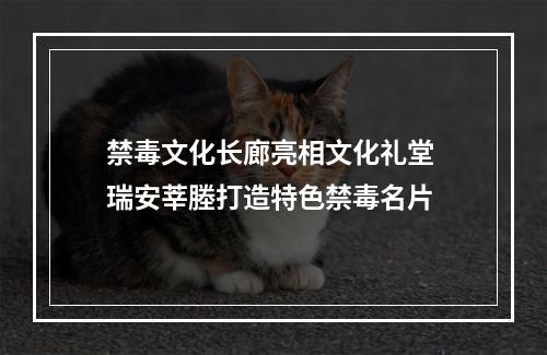 禁毒文化长廊亮相文化礼堂 瑞安莘塍打造特色禁毒名片