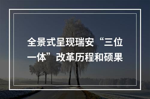 全景式呈现瑞安“三位一体”改革历程和硕果