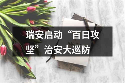瑞安启动“百日攻坚”治安大巡防