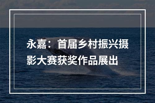 永嘉：首届乡村振兴摄影大赛获奖作品展出