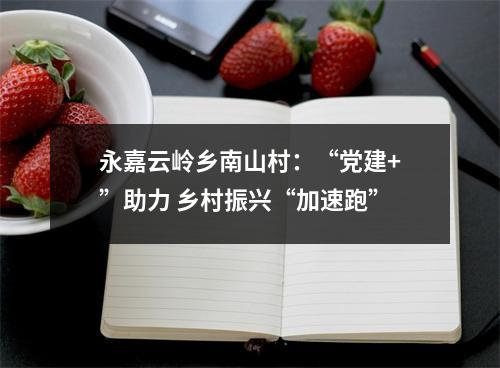 永嘉云岭乡南山村：“党建+”助力 乡村振兴“加速跑”