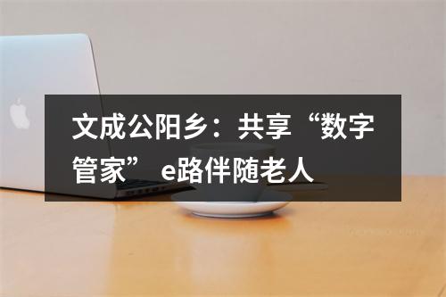 文成公阳乡：共享“数字管家” e路伴随老人