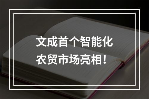 文成首个智能化农贸市场亮相！