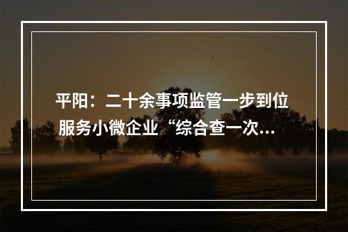 平阳：二十余事项监管一步到位  服务小微企业“综合查一次”