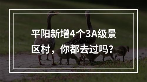 平阳新增4个3A级景区村，你都去过吗？