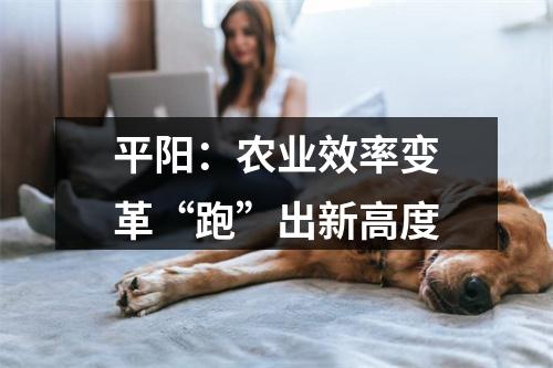 平阳：农业效率变革“跑”出新高度