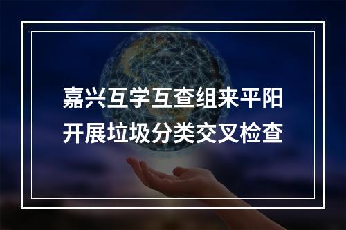嘉兴互学互查组来平阳开展垃圾分类交叉检查