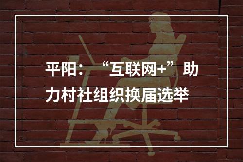 平阳：“互联网+”助力村社组织换届选举