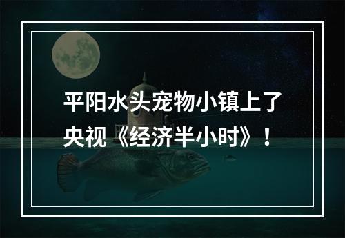 平阳水头宠物小镇上了央视《经济半小时》！