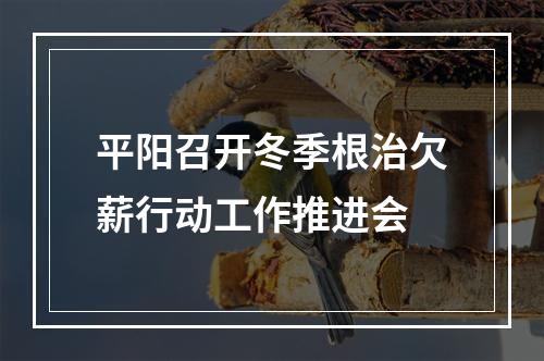 平阳召开冬季根治欠薪行动工作推进会