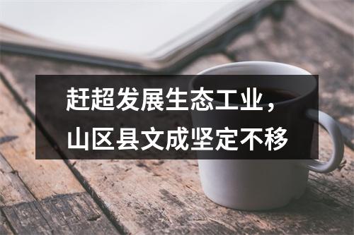 赶超发展生态工业，山区县文成坚定不移