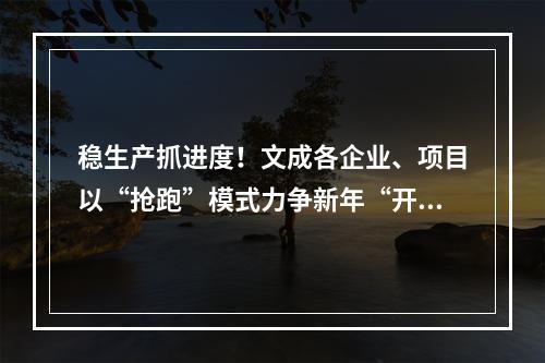 稳生产抓进度！文成各企业、项目以“抢跑”模式力争新年“开门红”