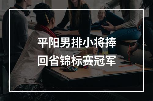 平阳男排小将捧回省锦标赛冠军