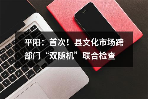 平阳：首次！县文化市场跨部门“双随机”联合检查