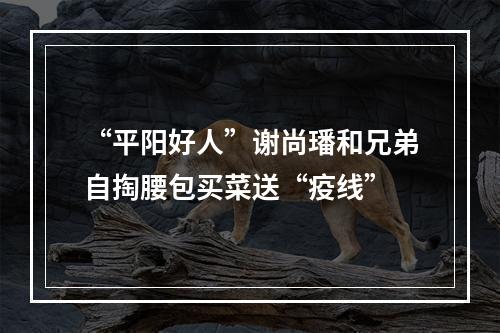 “平阳好人”谢尚璠和兄弟自掏腰包买菜送“疫线”