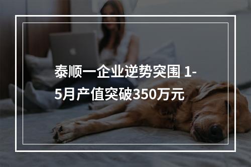 泰顺一企业逆势突围 1-5月产值突破350万元