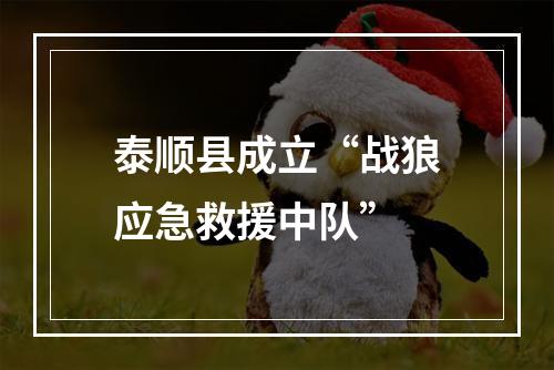 泰顺县成立“战狼应急救援中队”