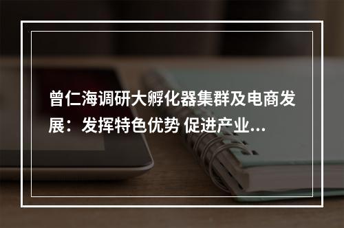 曾仁海调研大孵化器集群及电商发展：发挥特色优势 促进产业升级