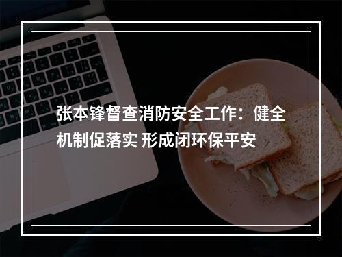 张本锋督查消防安全工作：健全机制促落实 形成闭环保平安