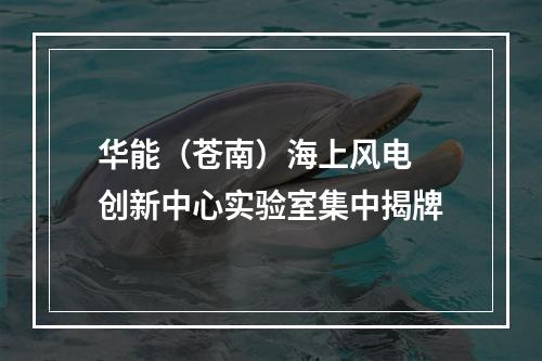 华能（苍南）海上风电 创新中心实验室集中揭牌